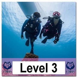 Level 3 course training
