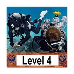 Level 4 course training