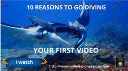 10 reasons to start diving to become a diving instructor with Thailand Diving pattaya