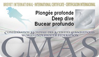 Deep Specialty Course Training, CMAS eLearning